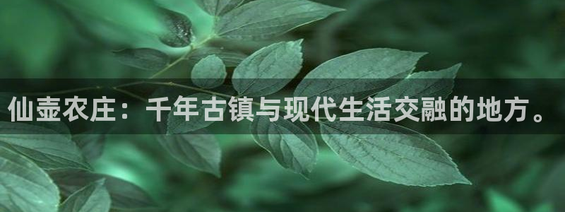 FH至尊平台怎样