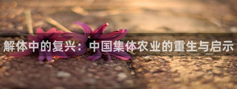 fh凤凰至尊贴吧