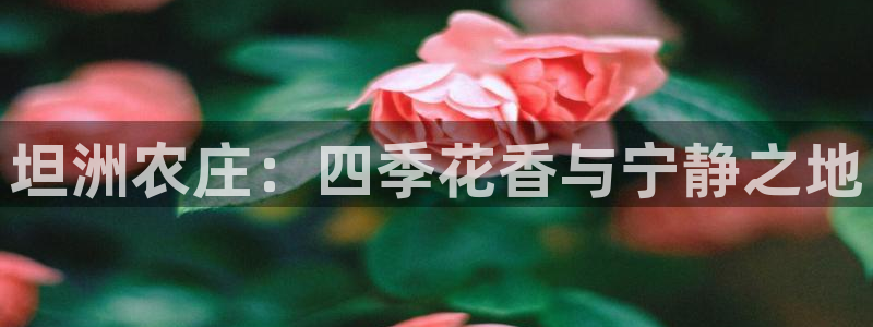 fh至尊平台冻结