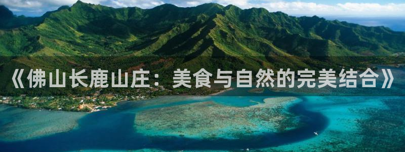 FH至尊信誉怎么样