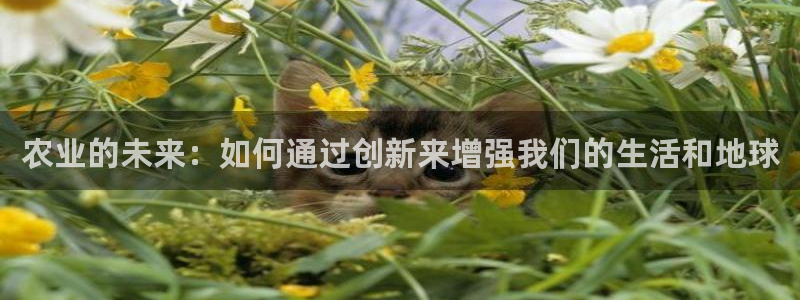 FH至尊出问题了