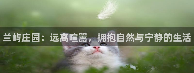 fh至尊正常登录