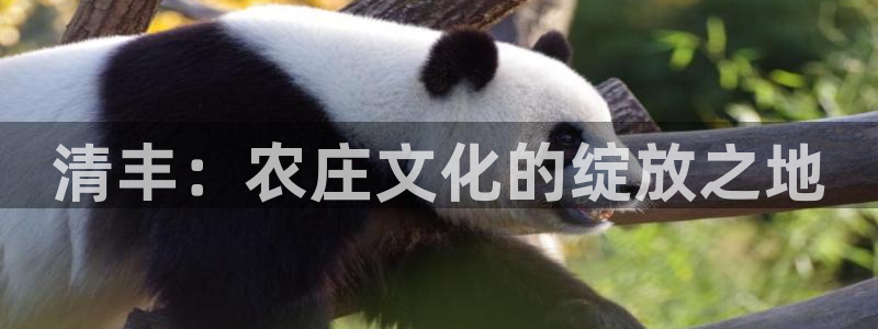 FH至尊娱乐注册