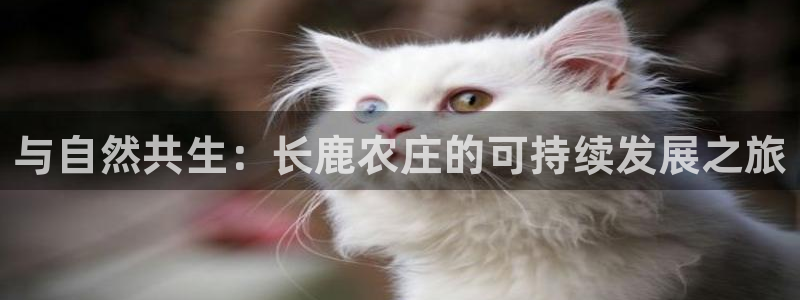 fh至尊普通登录