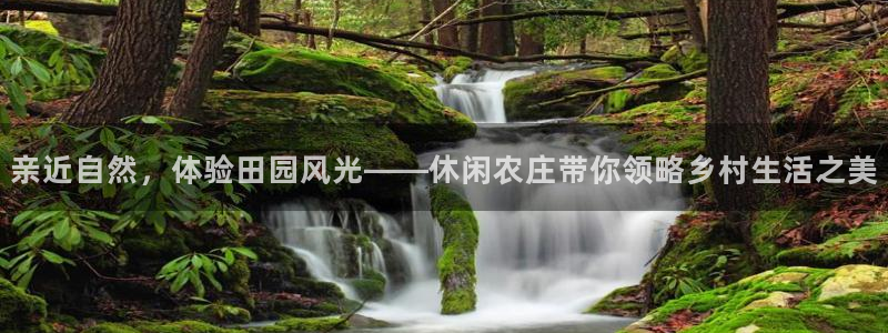 fh至尊香港办事处