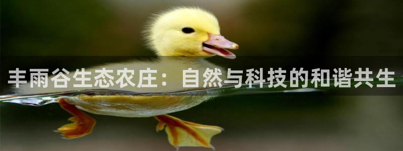 FH至尊登录不了