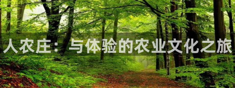 fh至尊官方网站