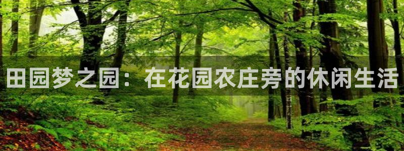 fh至尊手机端进不去