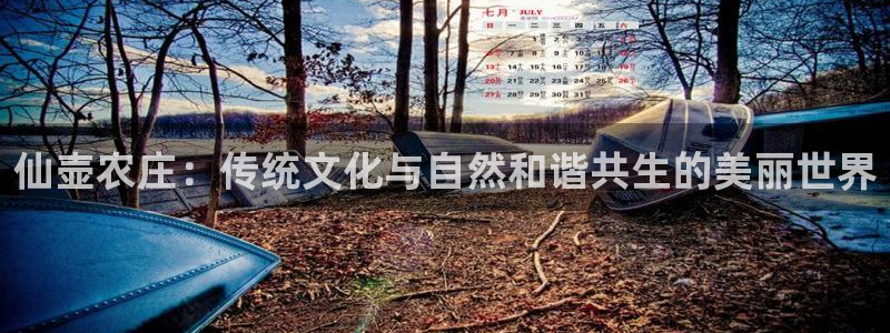 fh至尊是老凤凰吗