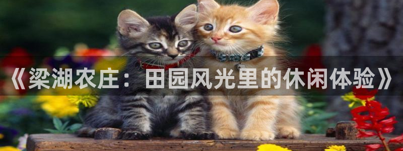 fh至尊平台黑钱