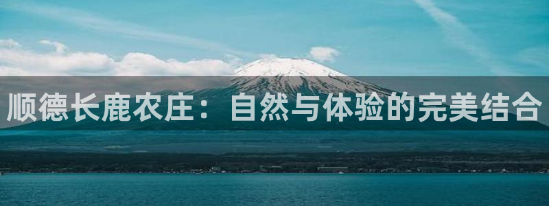 FH-FH至尊版的功能