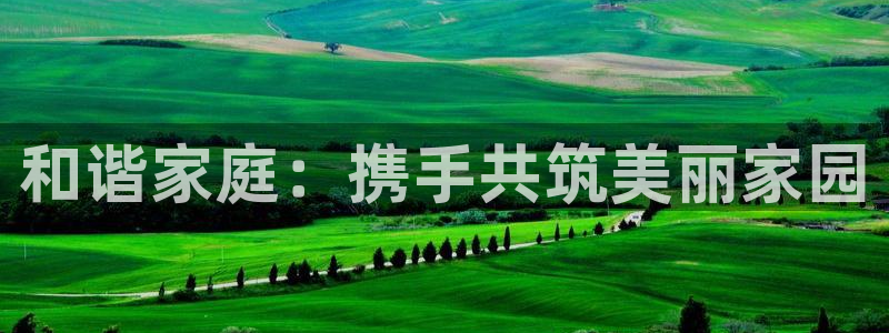 fh至尊平台正常登录