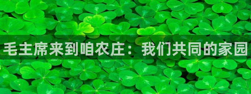 fh至尊是凤凰平台么