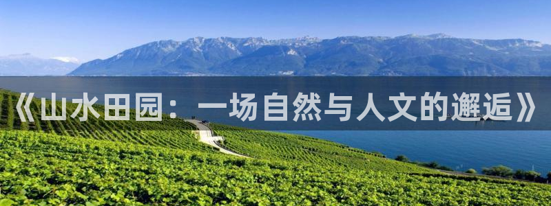 fh至尊最新版本