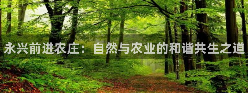 fh至尊提现不了