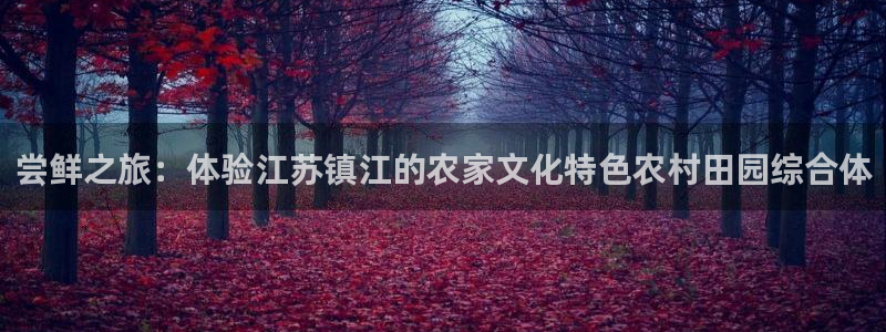 FH至尊是什么意思